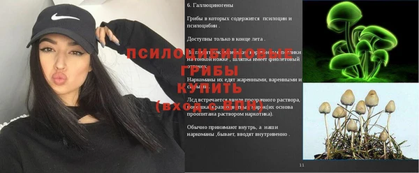 шишки Балабаново