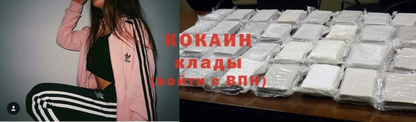шишки Балабаново