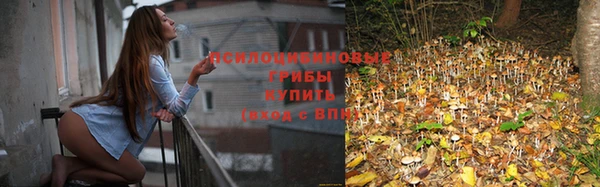 MESCALINE Баксан
